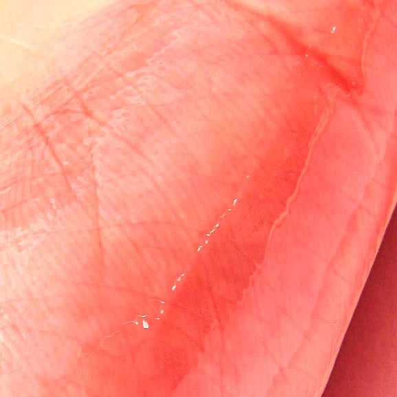 ULTRAMO Brillo Labial Encantador FL808 - Imagen 10